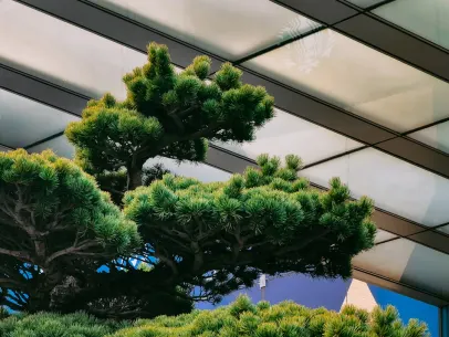 ArcaneBet Casino Application mobile